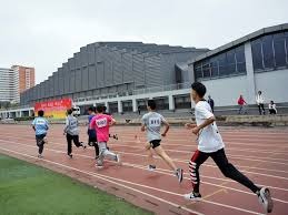 [德甲]第16轮：多特蒙德2-3勒沃库森 集锦