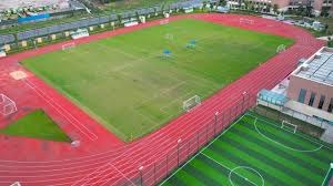 2025 赛季：多伦多蓝鸟队通过大数据分析，成功优化了球员在客场的体能消耗